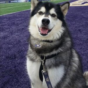 Meet your Posher, Edwin